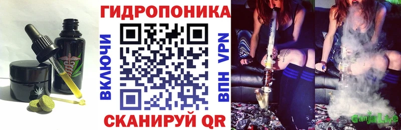 OMG ССЫЛКА  Выкса  Cannafood марихуана  закладки 