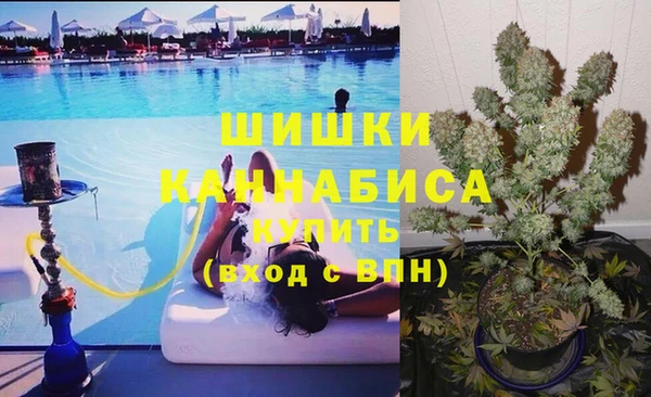 соль ск Белокуриха