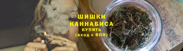 дживик Беломорск