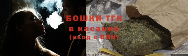 spice Богданович