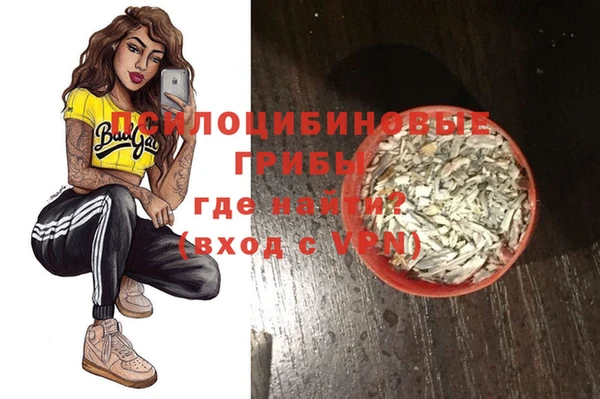 spice Богданович