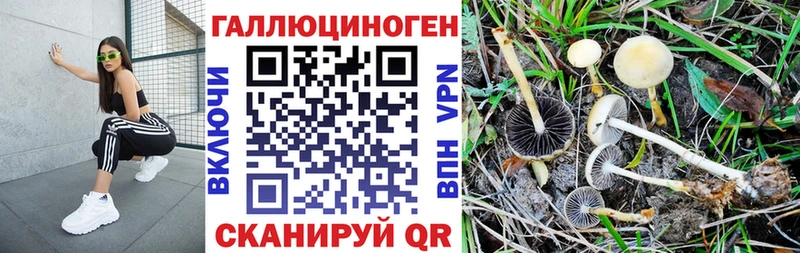 МЕГА онион цена Выкса Псилоцибиновые грибы мухоморы